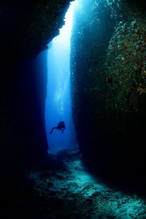 25张漂亮的水下摄影作品