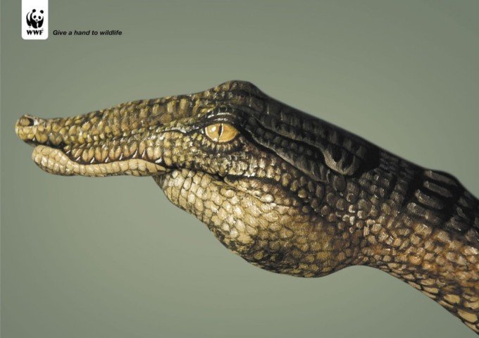 为野生动物出份力：WWF公益广告