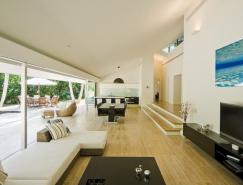 棕櫚樹和游泳池:完美的度假別墅設計