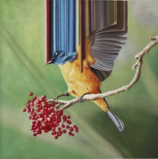 Maurizio Bongiovanni画笔下特别的小鸟