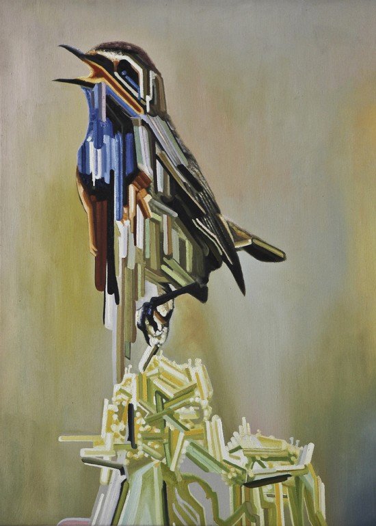 Maurizio Bongiovanni画笔下特别的小鸟