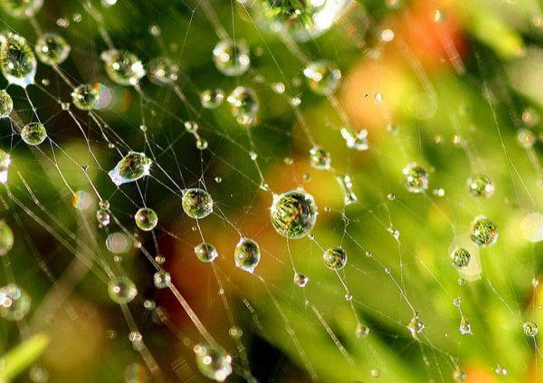 雨天攝影