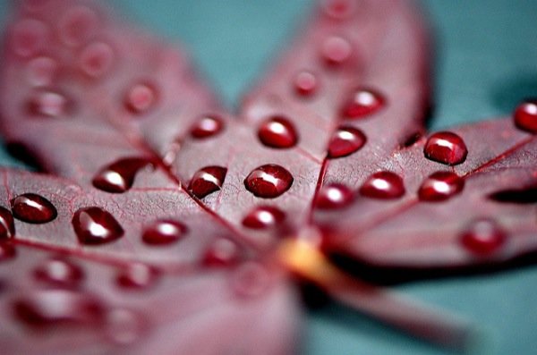 雨天攝影