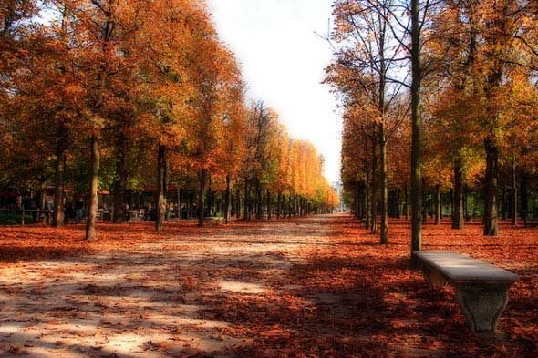 25张美丽的秋天景色照片