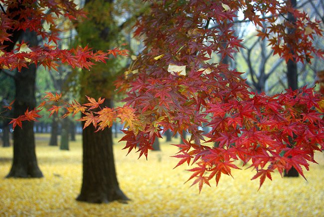 色彩的季节：绝美秋天风光摄影作品欣赏