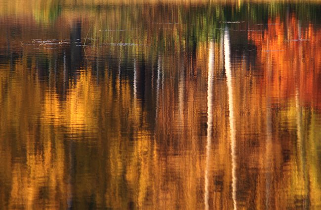 色彩的季节：绝美秋天风光摄影作品欣赏
