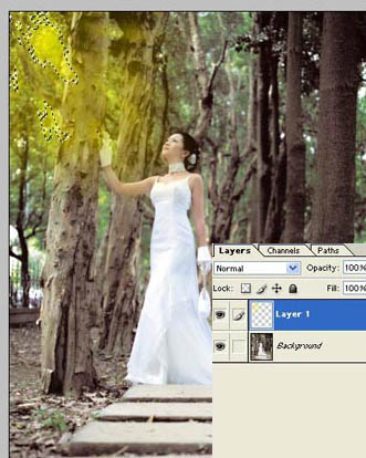 Photoshop给树林照片添加逼真的透视光线效果