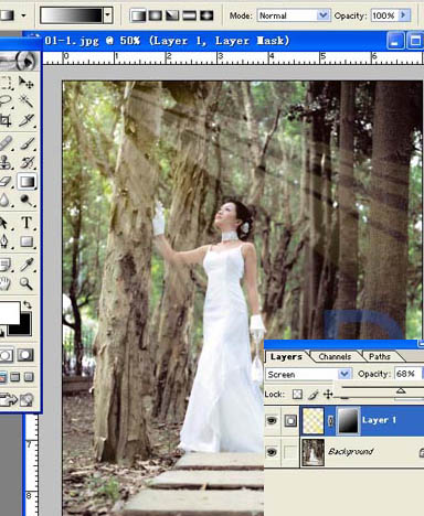 Photoshop给树林照片添加逼真的透视光线效果