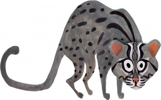 Brendan Wenzel：越南动物插图欣赏