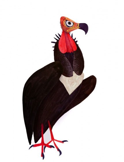 Brendan Wenzel：越南动物插图欣赏