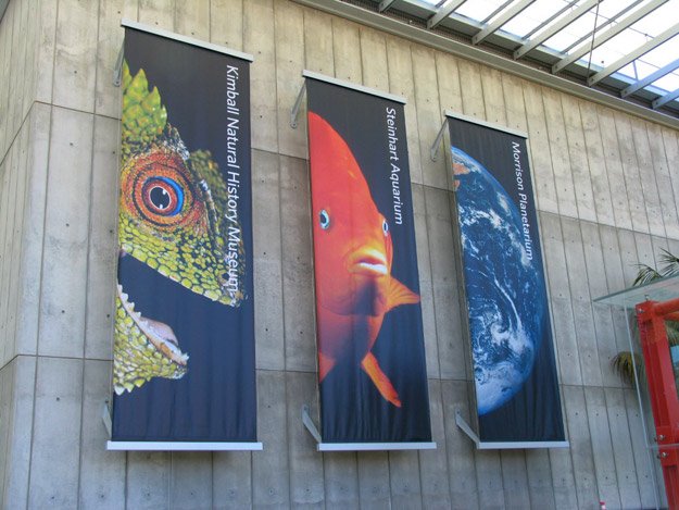 加州科学博物馆(California Academy of Sciences)视觉设计
