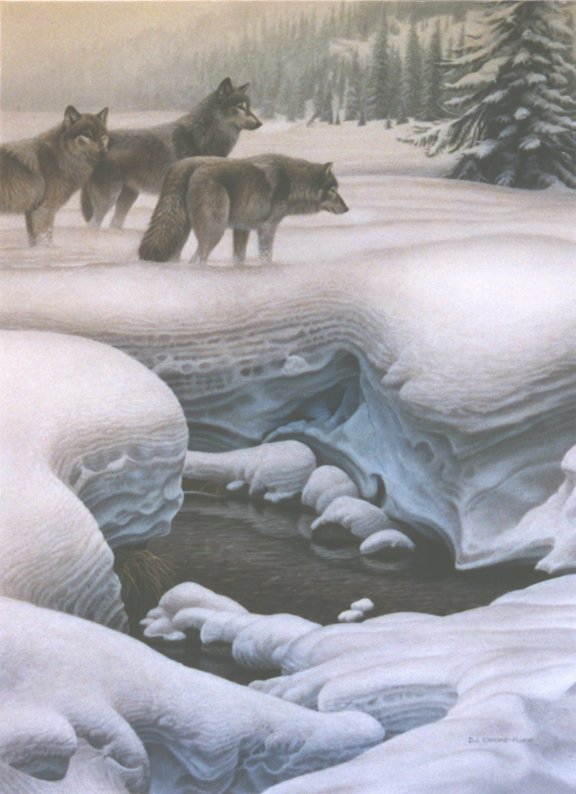 D. J. Cleland-Hura动物绘画作品