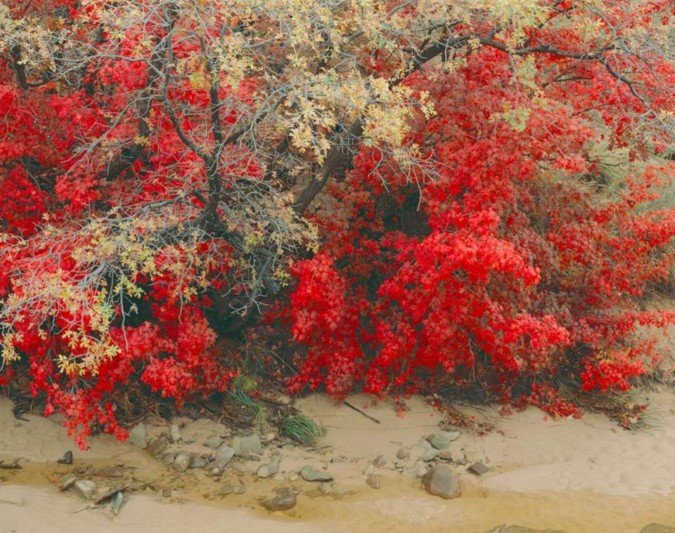 William Neill美丽的自然风光摄影