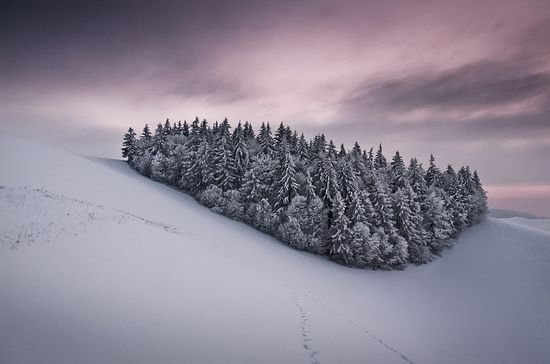 多雪的冬季摄影作品欣赏