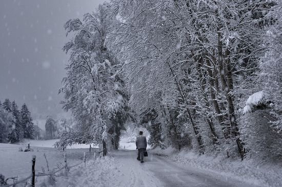 多雪的冬季摄影作品欣赏