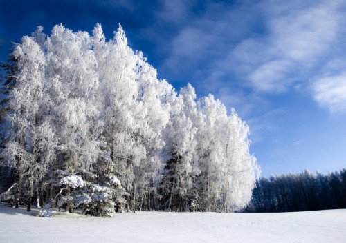 冬天雪景照片欣赏