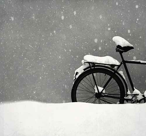 仙境般的黑白雪景照片