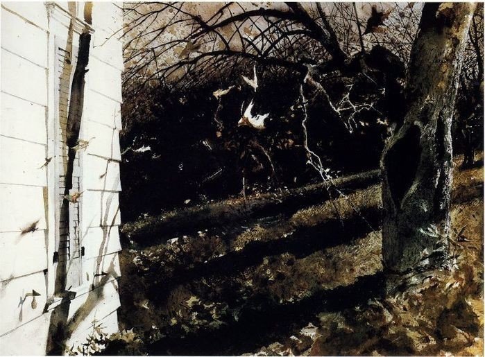 美国20世纪伟大的写实主义画家安德鲁.怀斯