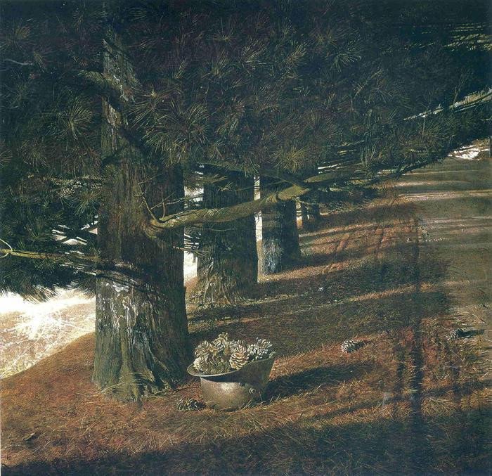美国20世纪伟大的写实主义画家安德鲁.怀斯