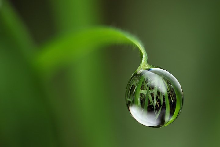 Brian Valentine漂亮的水滴反射微距摄影
