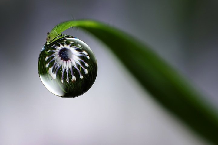 Brian Valentine漂亮的水滴反射微距摄影