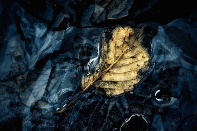 自然的美丽色彩：Joni Niemelä摄影作品