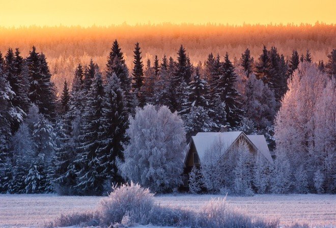 自然的美丽色彩：Joni Niemelä摄影作品