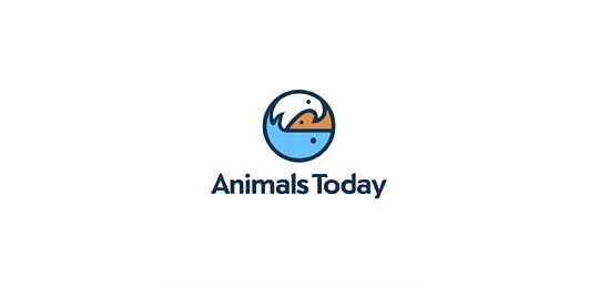 标志设计元素运用实例：动物