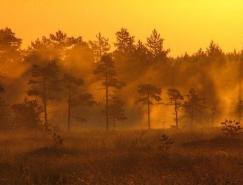 芬蘭攝影師PetriVolanen自然攝影作品