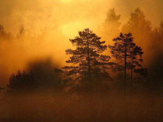 芬兰摄影师Petri Volanen自然摄影作品