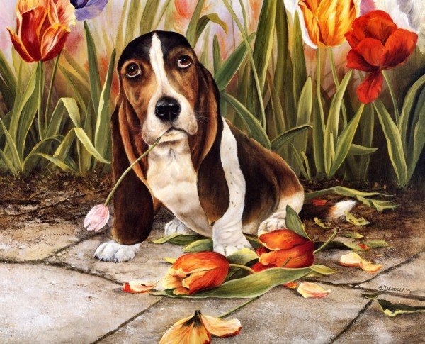 Shirley Deaville画笔下可爱的小狗