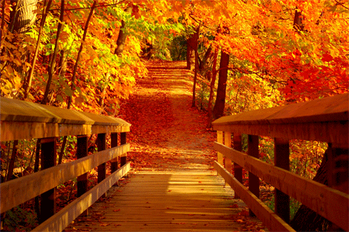 摄影欣赏：30张如画的秋天景色