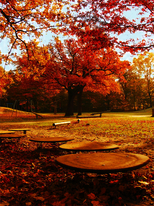 摄影欣赏：30张如画的秋天景色