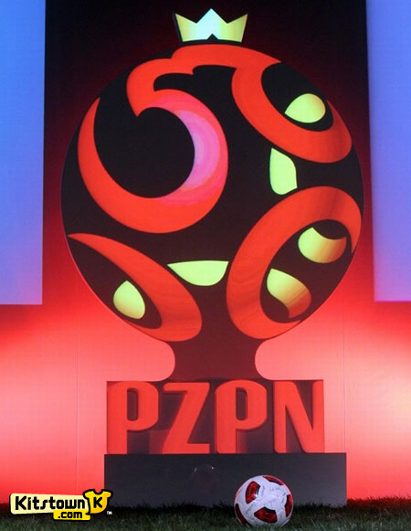 波兰足协公布新标识