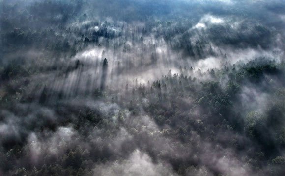 雾天风光摄影作品
