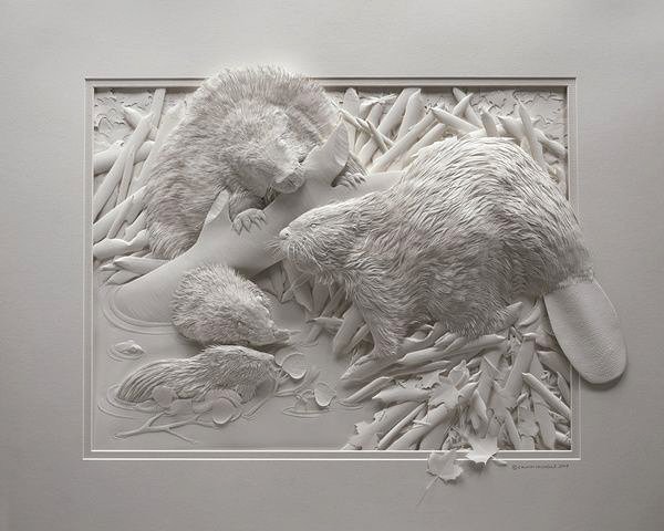 加拿大艺术家Calvin Nicholls纸雕作品