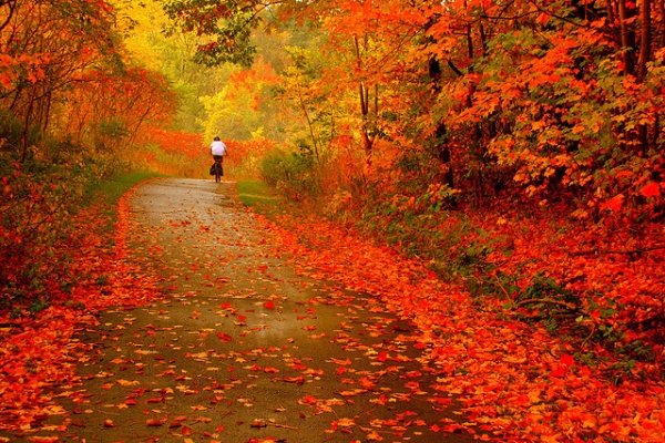 风光摄影：美丽的秋天