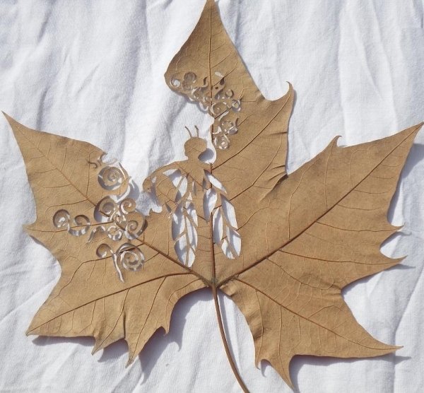 Lorenzo Duran精美的树叶雕刻艺术