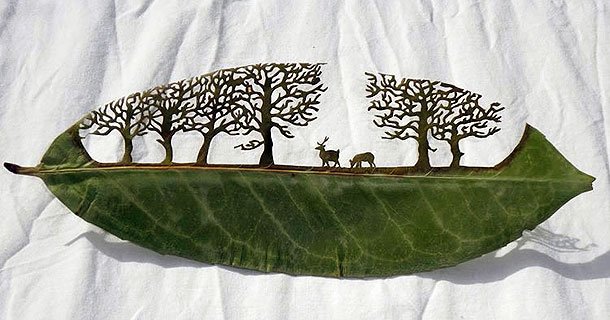 Lorenzo Duran精美的树叶雕刻艺术