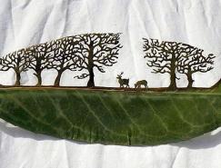 LorenzoDuran精美的樹葉雕刻藝術