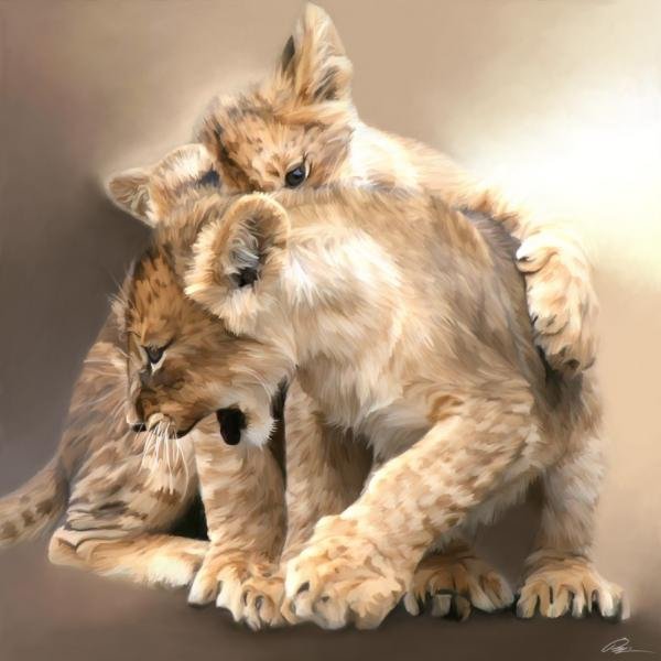 Paul Miners逼真的狮子绘画作品