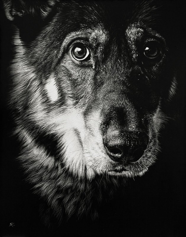 Cristina Penescu照片般逼真的动物版画艺术
