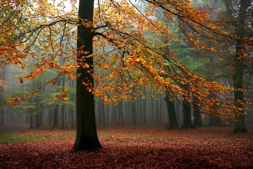 30张美丽的秋天风景摄影(2)