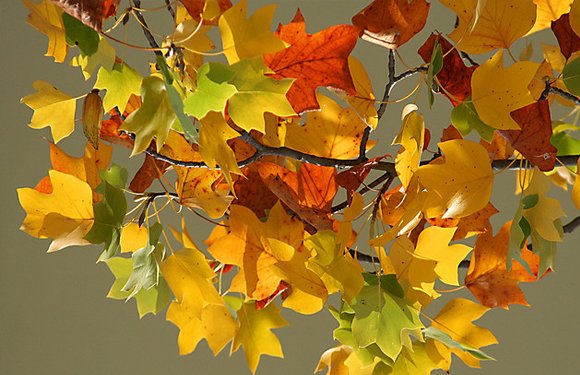 风光摄影：秋高气爽的季节