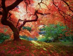風光攝影欣賞：秋天的色彩