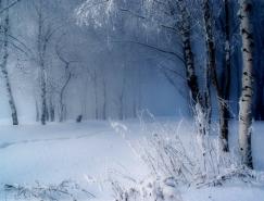 冬天雪景攝影作品
