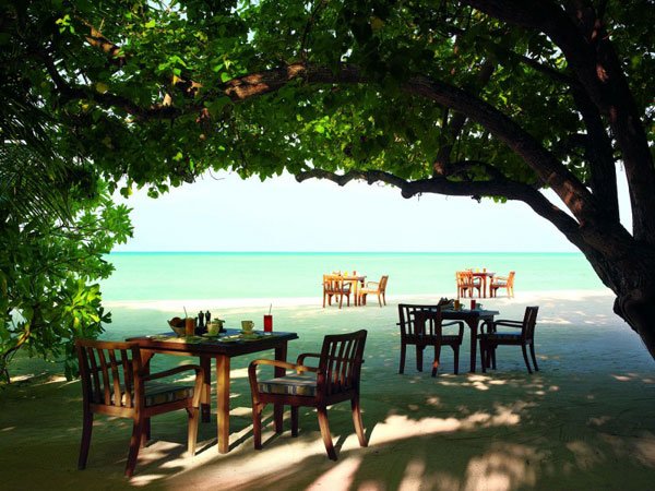 与大海融为一体：马尔代夫泰姬珍品度假村