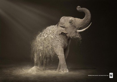 WWF 公益广告：荒漠化每年导致6000物种灭亡