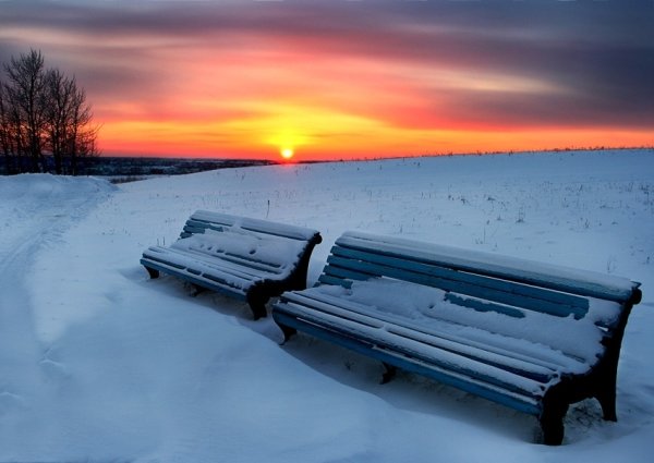 美丽的冬季摄影作品
