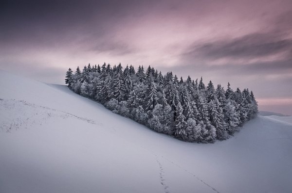 美丽的冬季摄影作品